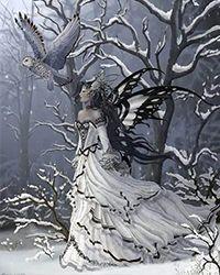 特种兵之雪鹰全文免费阅读