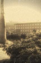 末世之海上生活全文免费阅读