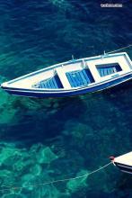 都市超级狂龙刘轩免费阅读全文