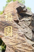 仙武主宰 字太白