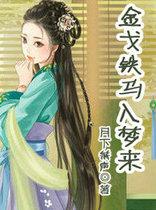 金戈铁马入梦来